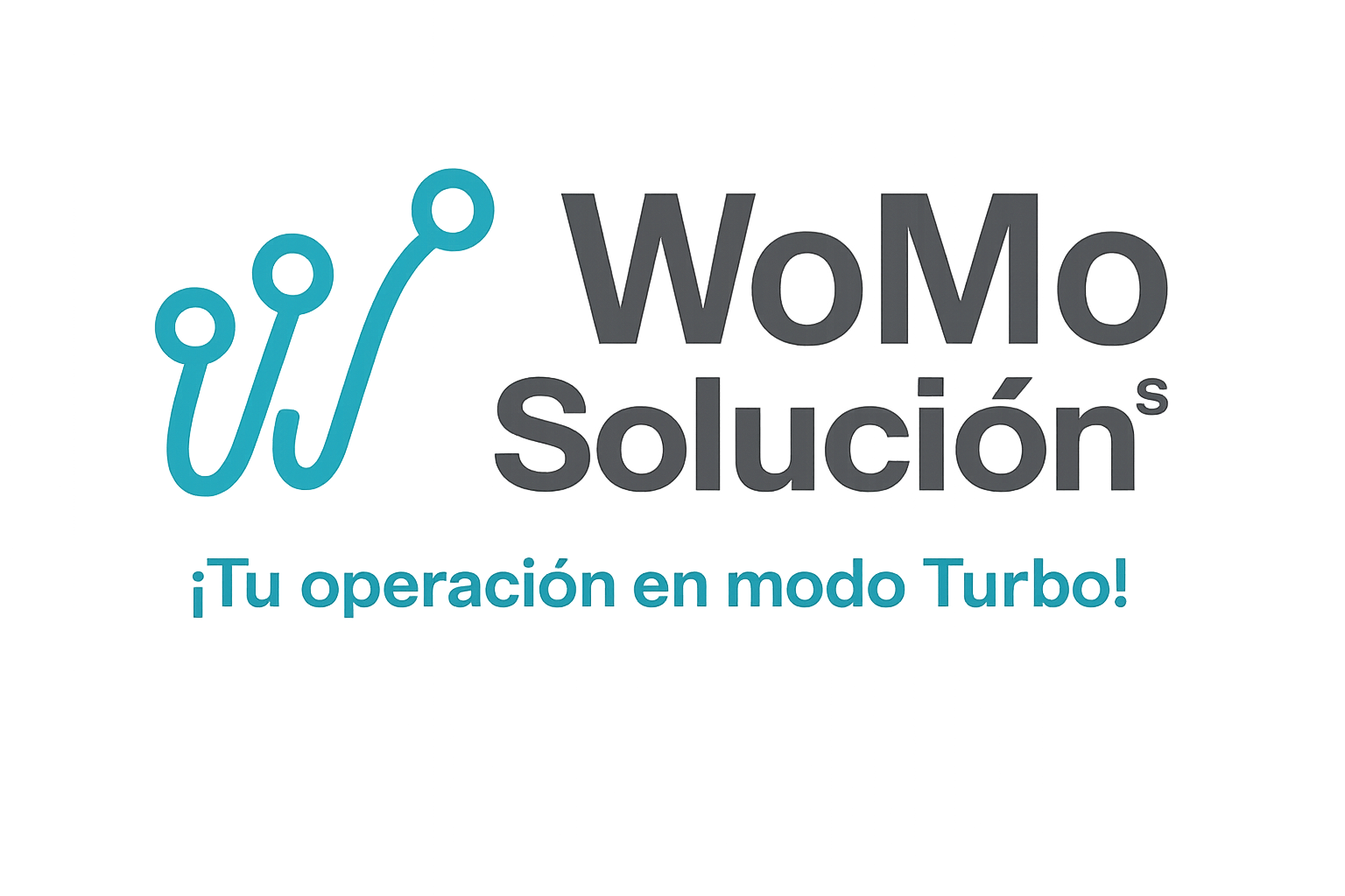 WoMo Soluciónˢ